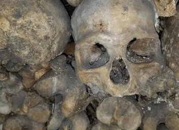 Пропавший дедушка найден мертвым