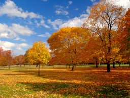 Синоптик: В воскресенье в Украине будет тепло, сухо и солнечно, воздух прогреется до 22 градусов