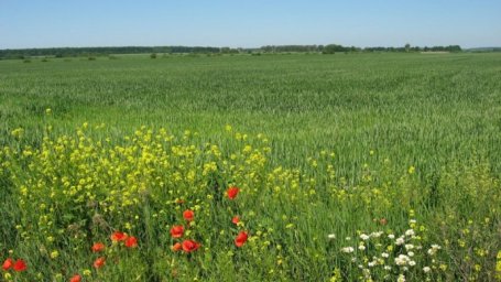  Кабмин намеревается ввести новый налог на землю 