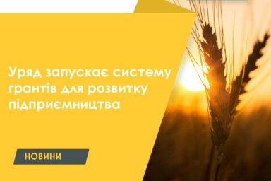 Правительство запускает систему грантов для развития предпринимательства