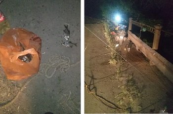 На рыбаков с &laquo;пауком&raquo; прореагировали прохожие