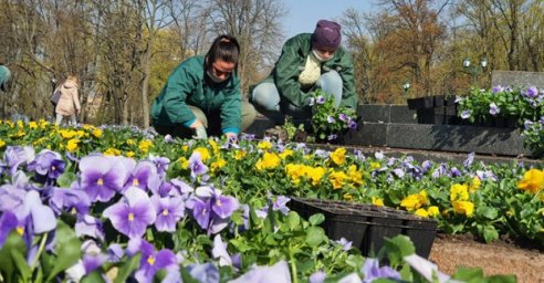 Игорь Терехов: Враг разбомбил наши теплицы, но мы все равно высадим цветы