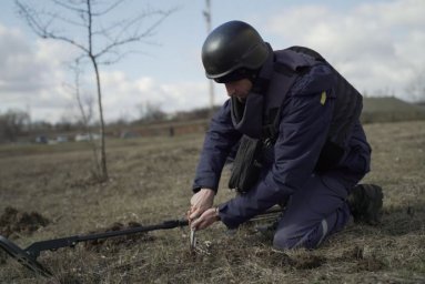  В Святогорске во время разминирования погиб спасатель 