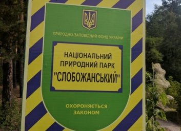 Черный лесоруб уничтожал Национальный природный парк