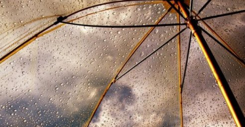 Завтра в Харькове - до 29 градусов тепла и дождь