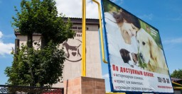 Опыт Харьковского приюта для животных будут перенимать в Борисполе