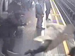 91-летнего экс-главу Евротоннеля столкнули под поезд метро (ВИДЕО)