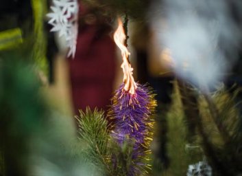 Пожар на Новый год: Как избежать трагедии - ГСЧС