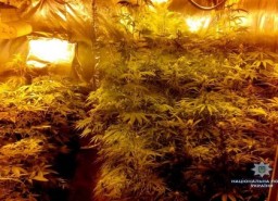 Харьковчанин устроил из шкафа высокотехнологичную нарколабораторию для элитной конопли (ФОТО)