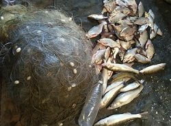 Рыбный патруль собрал бесхозные сети