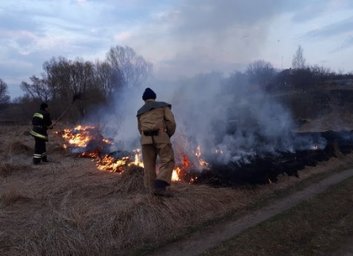 Неутомимые пироманы даже в праздники продолжают сжигать мусор и сухостой
