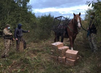 Контрабандиста с копытами задержали на границе (ВИДЕО)