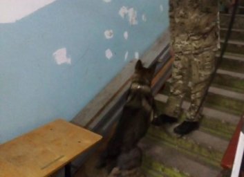 Минирование школы: бомб не обнаружено (ФОТО)