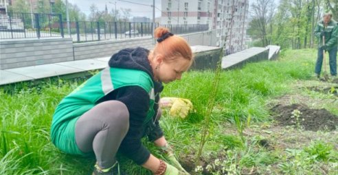 Харькову продолжают присылать в подарок саженцы цветов и деревьев