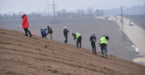 На Дергачевском полигоне высаживают тысячи деревьев и кустов