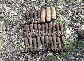 Взрывотехники разминировали лесополосу вдоль оживленной трассы (ФОТО)