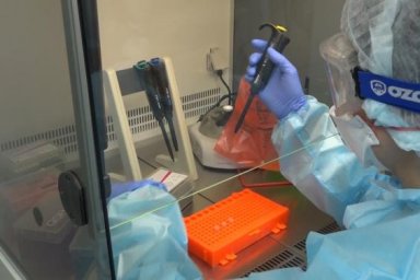 За последние сутки в области не зафиксировано новых случаев COVID-19