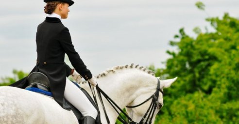 В Харькове пройдет всеукраинский фестиваль верховой езды