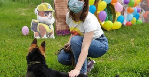 Более семи тысяч обитателей харьковского приюта для животных нашли хозяев