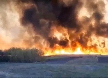 Загрязнение воздуха в Харькове снова превысило экологические нормы