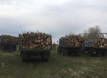 Лесники взяли &laquo;под крышу&raquo; браконьеров