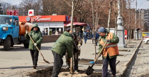 В прошлом году в Харькове посадили около тысячи деревьев