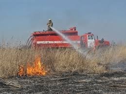 Спасатели продолжают бороться с подпалами (КАРТА ЗАГРЯЗНЕНИЯ)