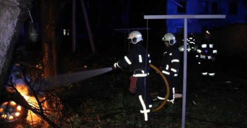  За сутки пиротехники ГСЧС ликвидировали 259 боеприпасов 