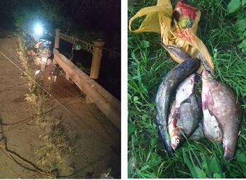 Сколько нарушителей поймал рыбоохранный патруль за неделю