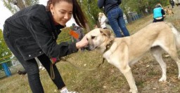Центр обращения с животными посетило рекордное количество харьковчан
