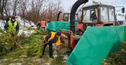 В Харькове после праздников собирают и утилизируют елки