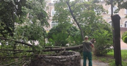  По городу продолжают убирать деревья, которые упали из-за сильного ветра 