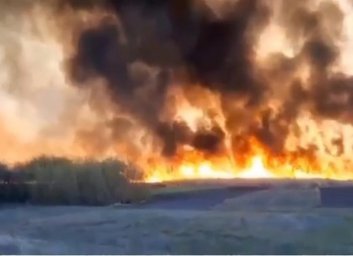 Загрязнение воздуха в Харькове снова превысило экологические нормы