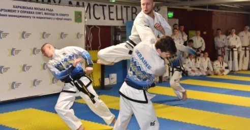  Для харьковчан провели открытое занятие по таэквондо