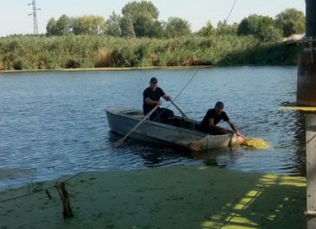 Балаклейский район: спасатели достали из воды утопленника