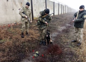 Штормовое предупреждение под Харьковом переросло в &laquo;Бурю-3&raquo; в колонии