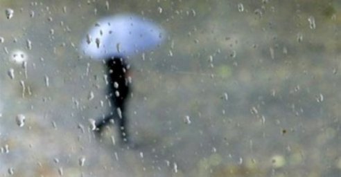 Завтра в Харькове - до 14 градусов тепла и дождь