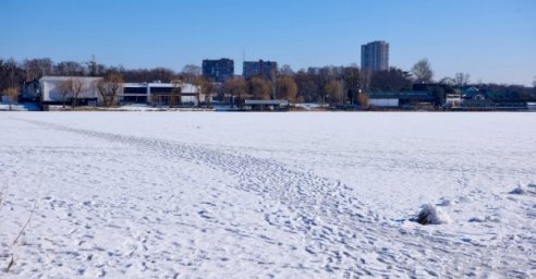В Харькове реконструируют Алексеевский лугопарк