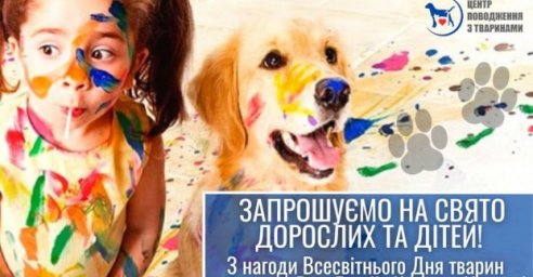 Городской приют для животных приглашает отметить годовщину открытия контакт-центра