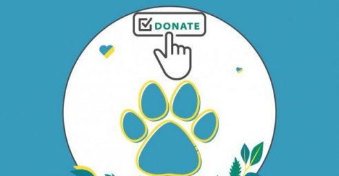 Харьковскому зоопарку можно помочь, сделав денежный перевод