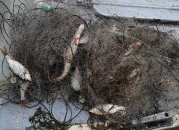 На Краснооскольском водохранилище поймали рыбного браконьера