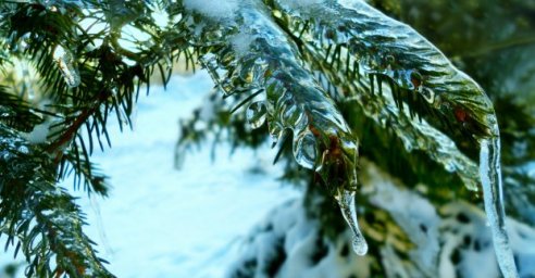 В выходные в Харькове &ndash; до 6 градусов мороза