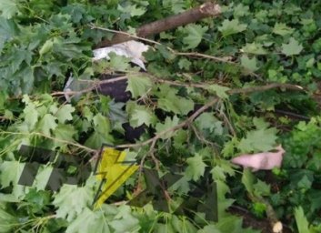 В центре Харькова пенсионерка выпала из окна