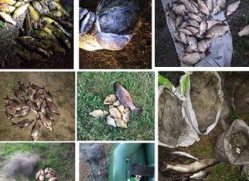 Какой ущерб нанесли рыбные браконьеры в июле