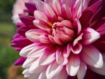 Прогноз погоды на 10 июля: В Украине преимущественно малооблачно, без существенных осадков