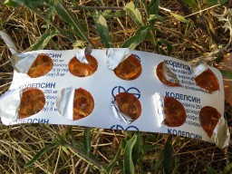 В Харькове активисты накрыли &laquo;черную аптеку&raquo; (ВИДЕО)