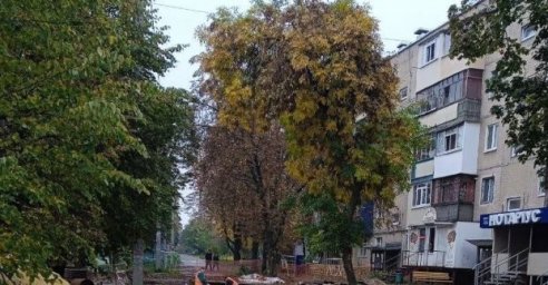  &laquo;Теплосети&raquo; асфальтируют участки после подземных работ 