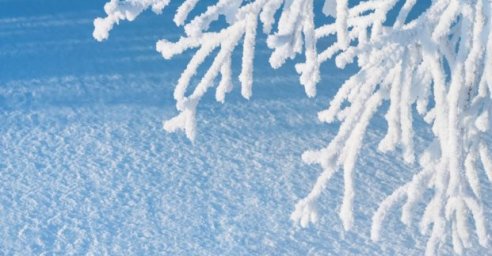 В выходные в Харькове - до 5 градусов мороза и снег