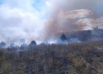 Харьковчан предупредили об опасности