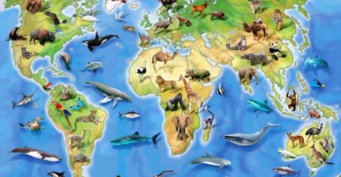 Мегалозавр, волк и кенгуру: школы Харькова выбрали животных для спортивных эмблем